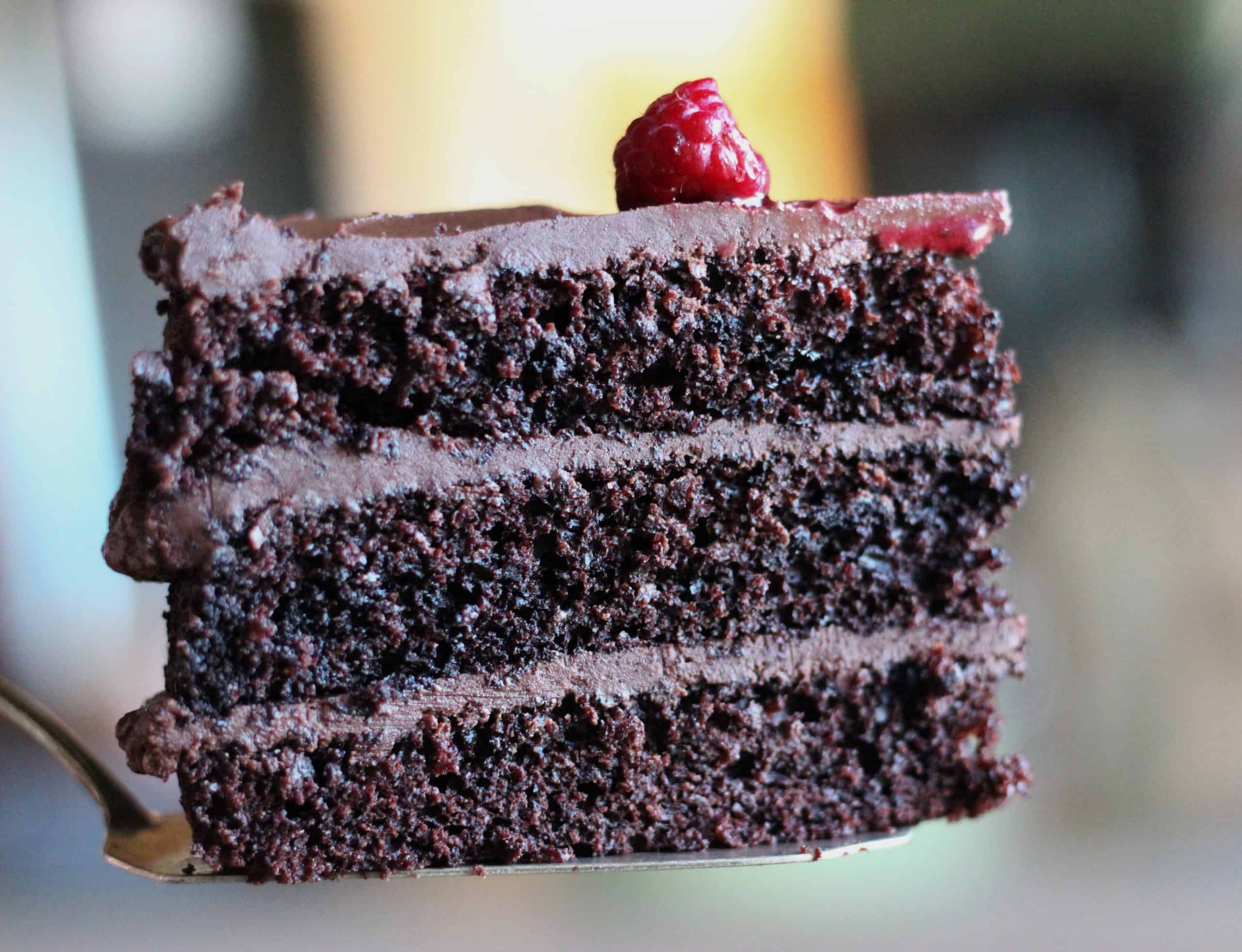 slice of sourdough discard chocolate sponge cake, with dark chocolate ganache