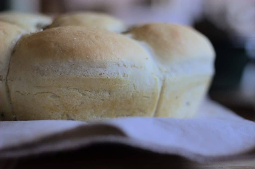 soft bread rolls, baked, out of the tin